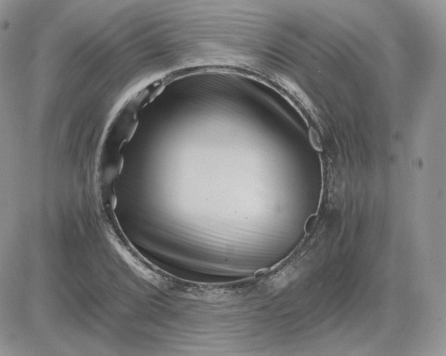 X0000081431072200701261817