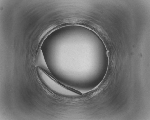 X0000081431073200701261817