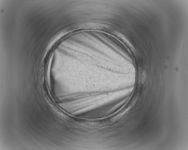 X0000081431075200701261817