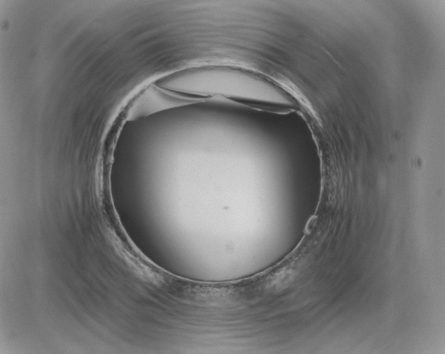 X0000081431076200701261817