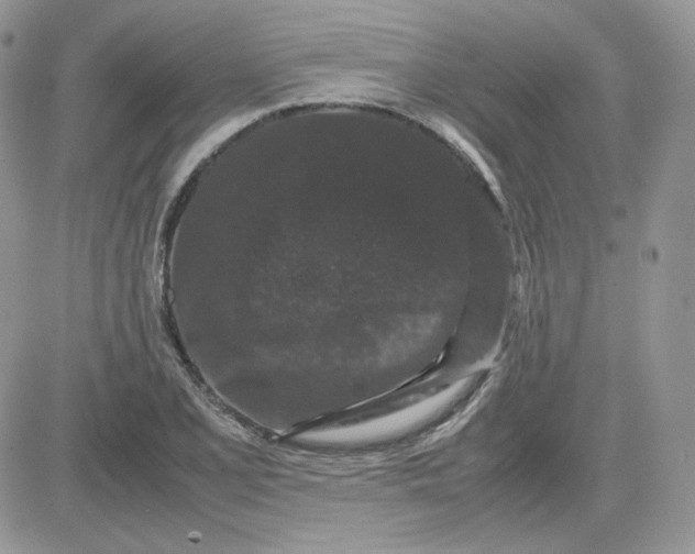 X0000081431077200701261817