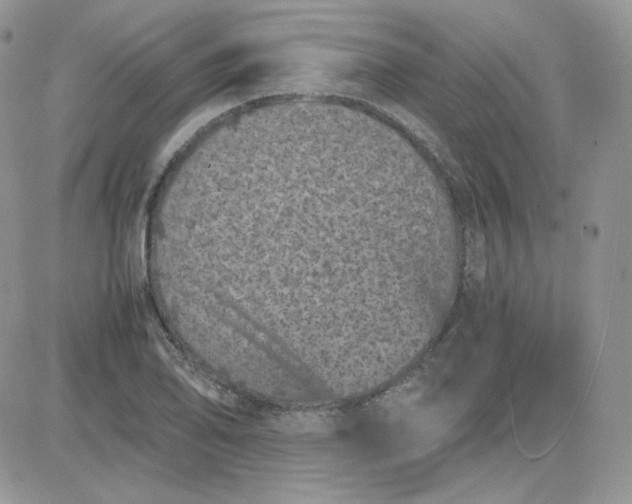 X0000081431078200701261817