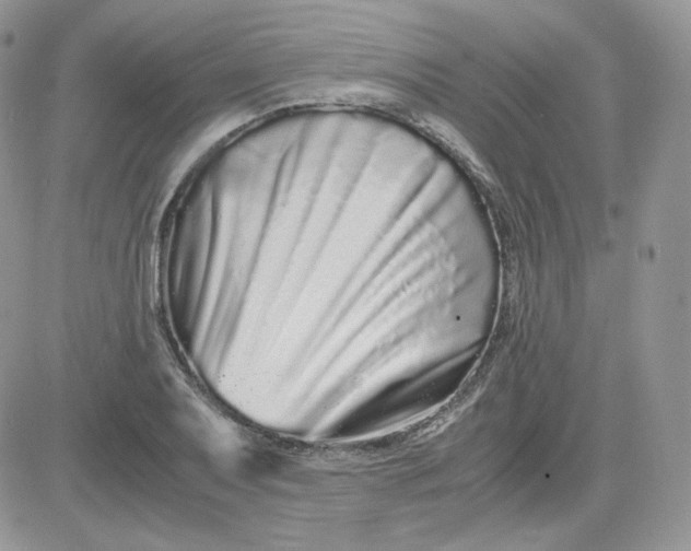 X0000081431079200701261817