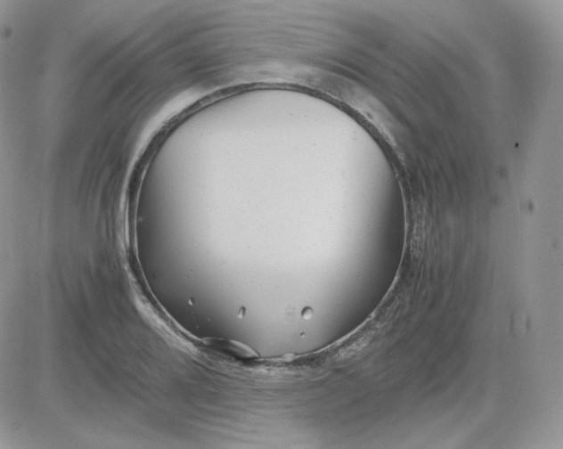 X0000081431080200701261817