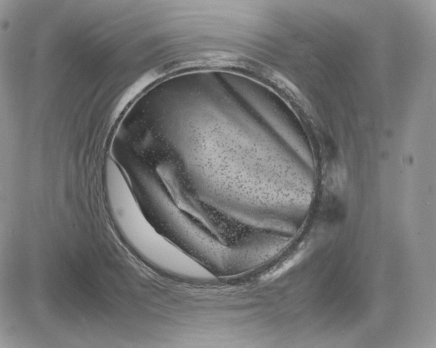 X0000081431081200701261817