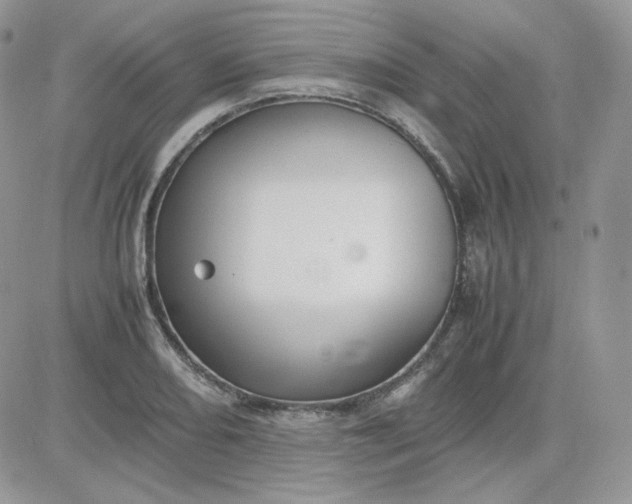 X0000081431082200701261816