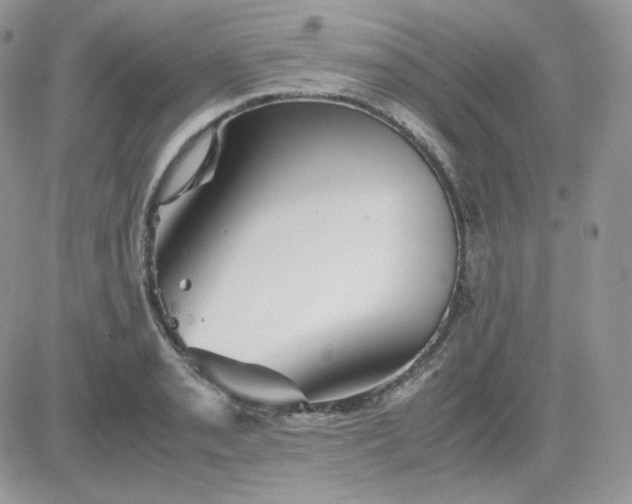 X0000081431085200701261816