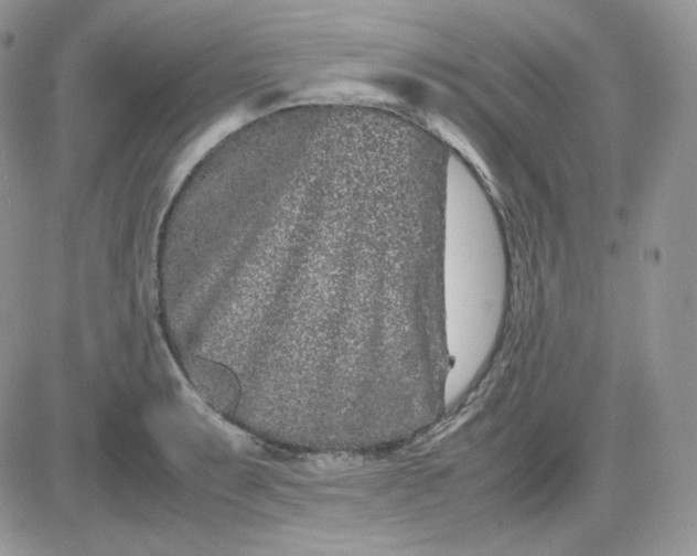 X0000081431087200701261816