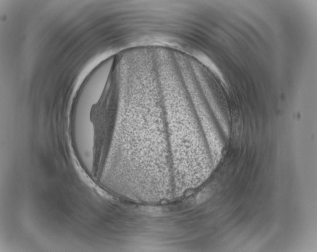 X0000081431088200701261816