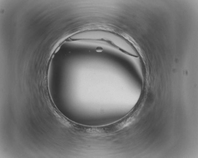 X0000081431089200701261816