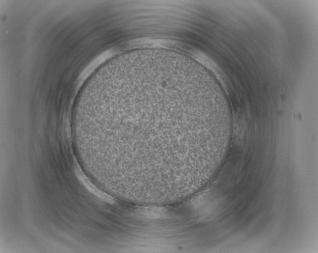 X0000081431090200701261816