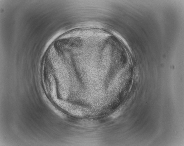 X0000081431091200701261816