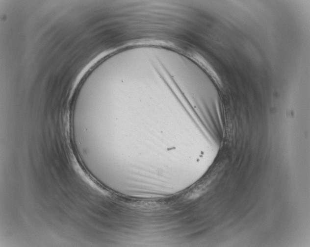 X0000081431092200701261816