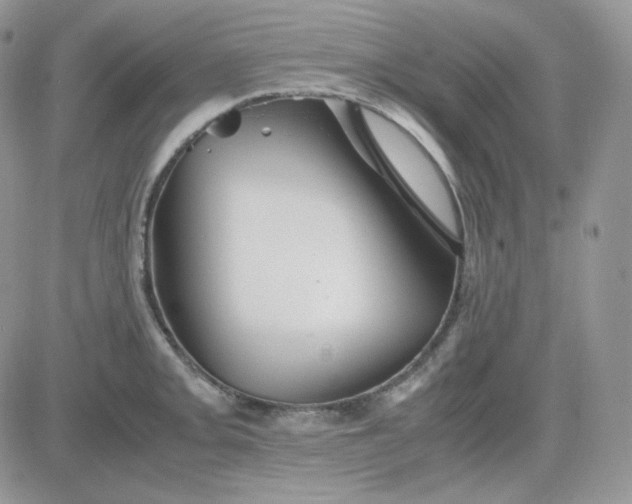 X0000081431093200701261816