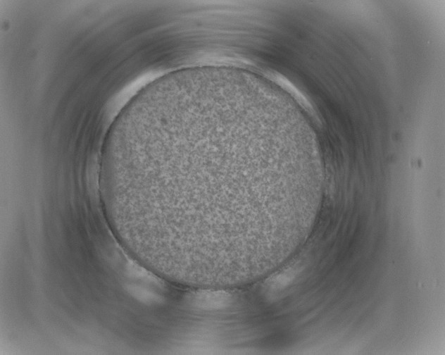 X0000081431094200701261816