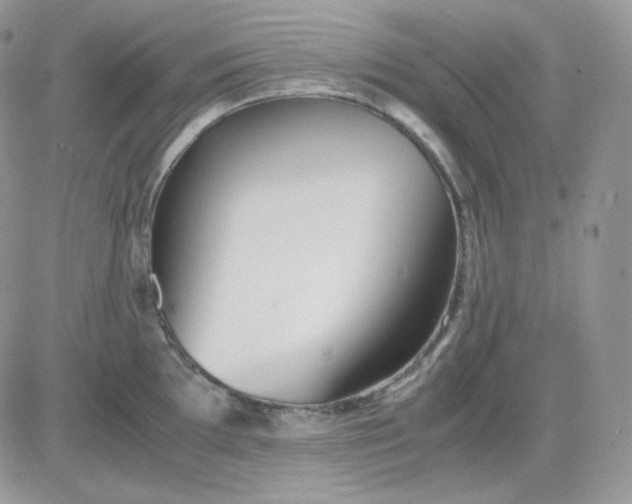 X0000081431097200701261816