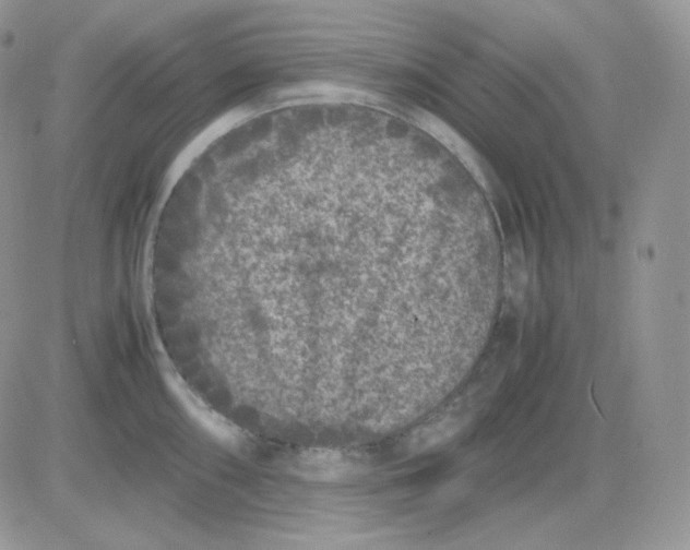 X0000081431098200701261816