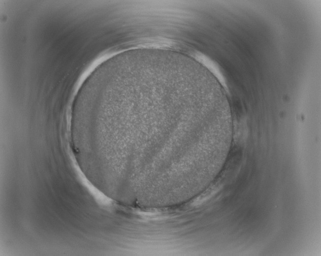 X0000081431099200701261816