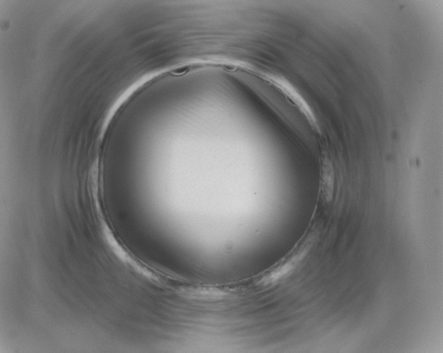 X0000081431100200701261816