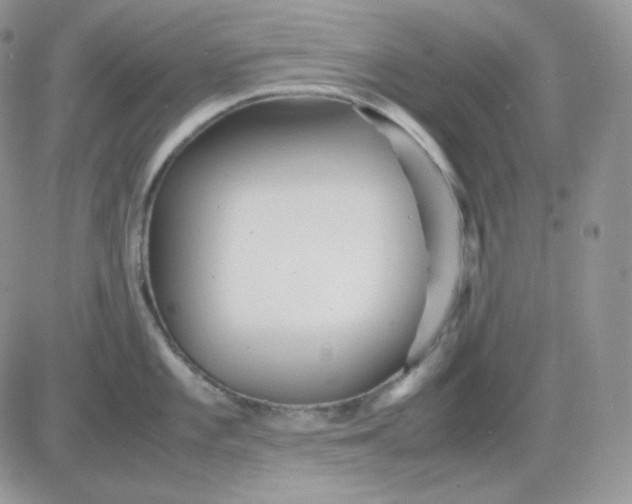 X0000081431101200701261816