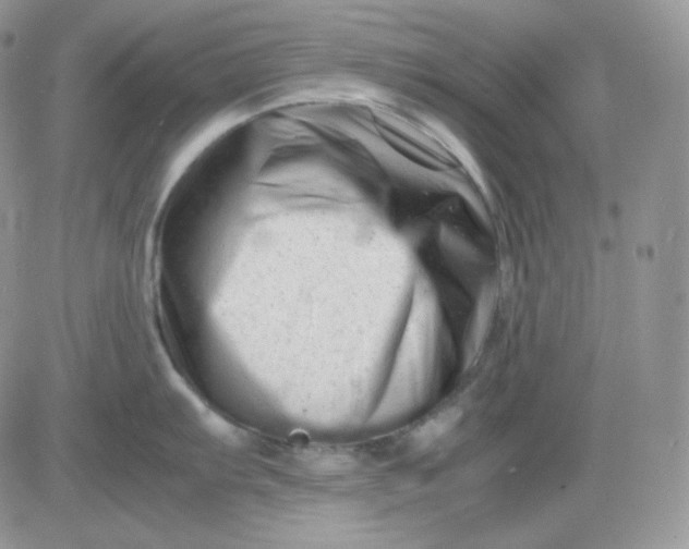 X0000081431103200701261816