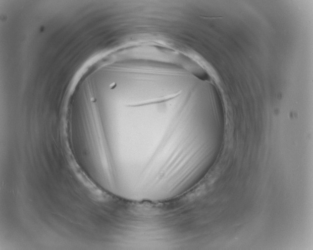 X0000081431104200701261816