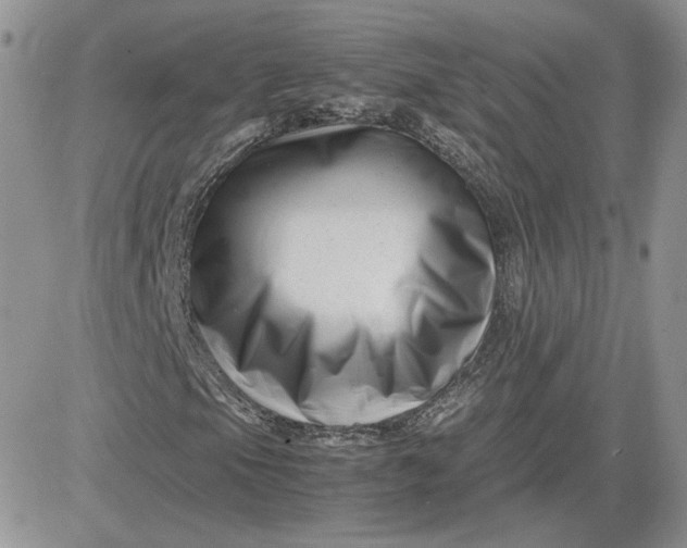 X0000081431105200701261815