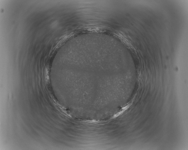 X0000081431106200701261815