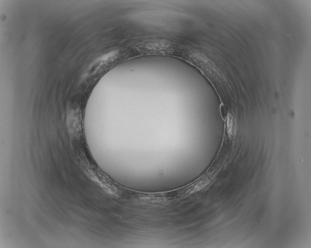 X0000081431107200701261815