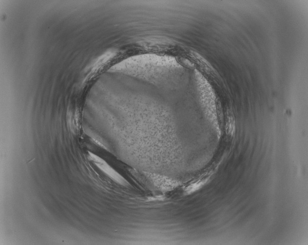 X0000081431108200701261815