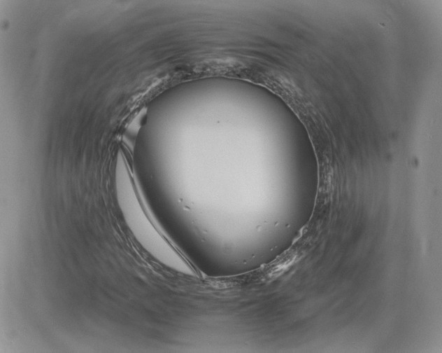 X0000081431109200701261815