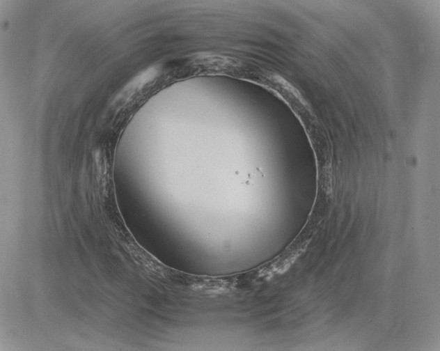 X0000081431111200701261815