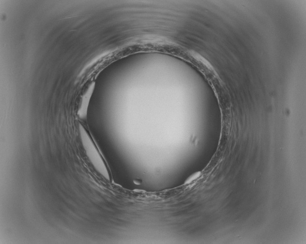 X0000081431112200701261815