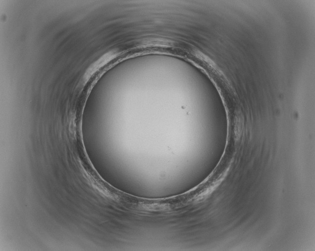 X0000081431113200701261815