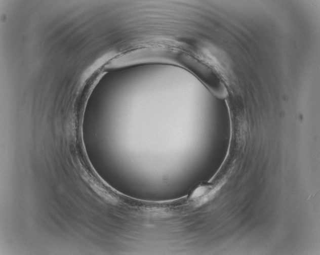 X0000081431114200701261815