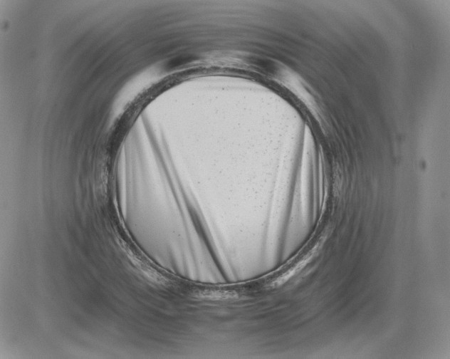 X0000081431115200701261816