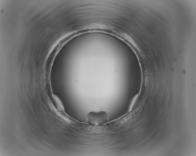 X0000081431116200701261816