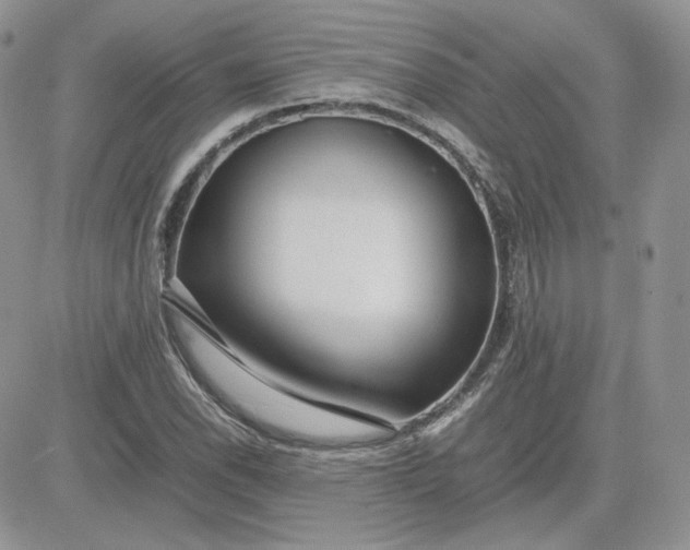 X0000081431118200701261816