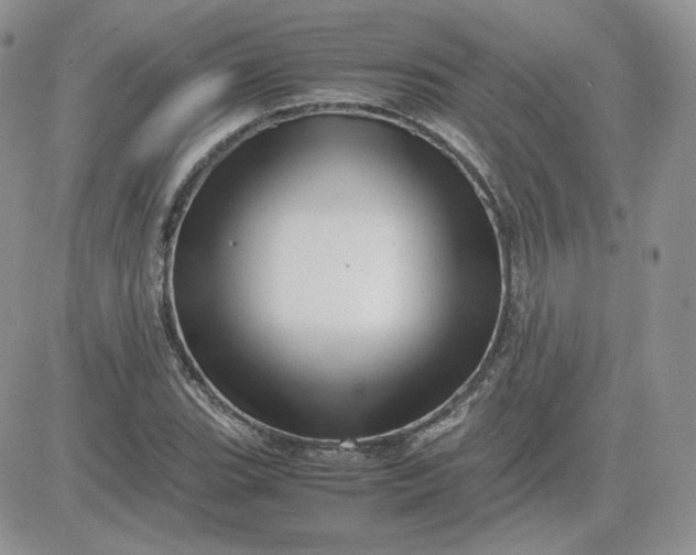 X0000081431119200701261816