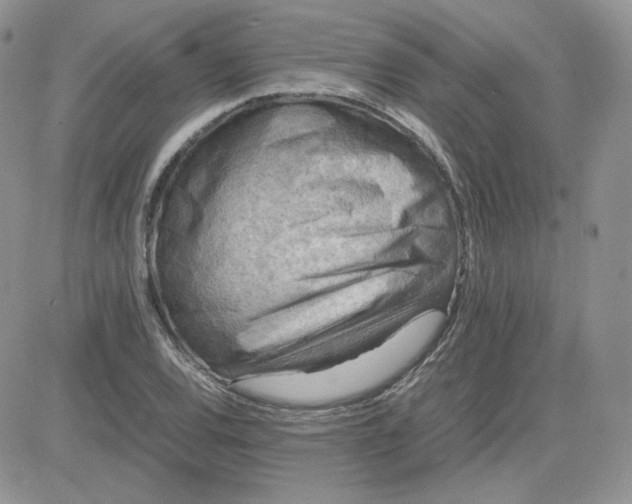 X0000081431120200701261816