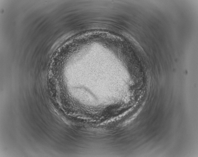 X0000081431121200701261816