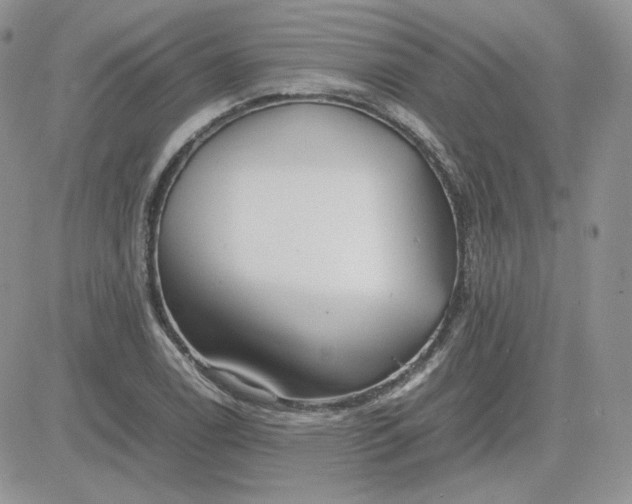 X0000081431122200701261816