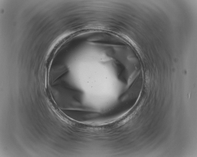 X0000081431123200701261816