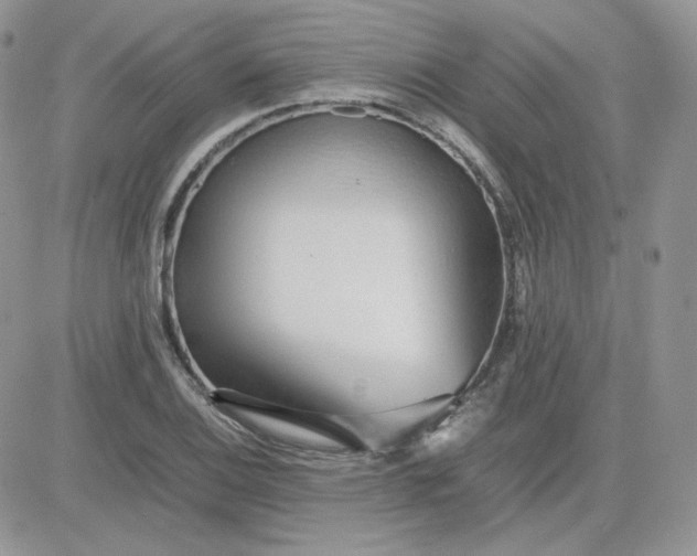 X0000081431124200701261816