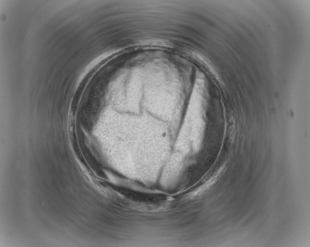 X0000081431125200701261816