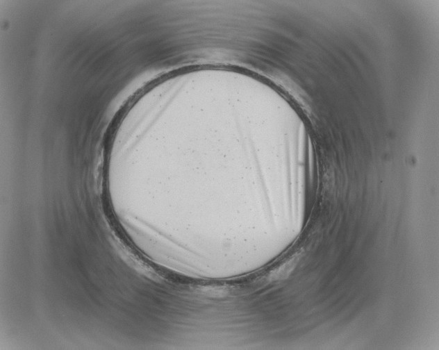 X0000081431126200701261816