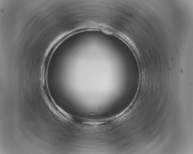 X0000081431128200701261816