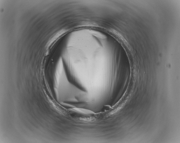 X0000081431129200701261816