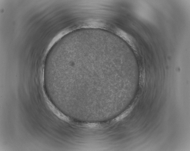 X0000081431130200701261816