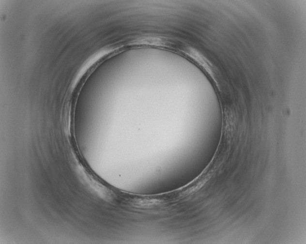 X0000081431131200701261816